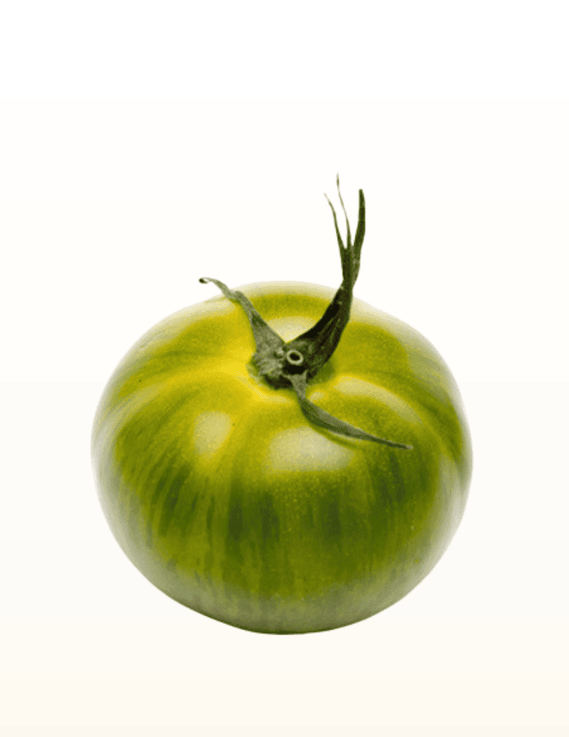 Tomate Green Zebra